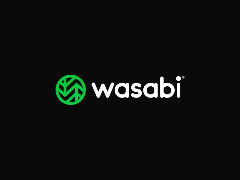 Wasabi Hot Cloud Storage
